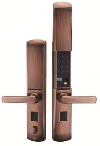 t99新款